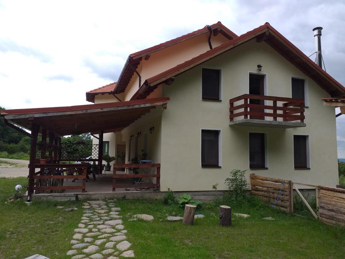 Pensiunea Rozelor Statiunea Climaterica Sambata Sîmbăta de Sus Exterior foto