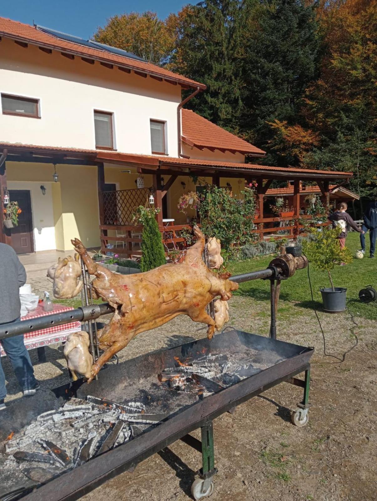Pensiunea Rozelor Statiunea Climaterica Sambata Sîmbăta de Sus Exterior foto